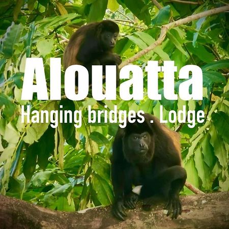 Alouatta Lodge And Canopy Cahuita Bagian luar foto