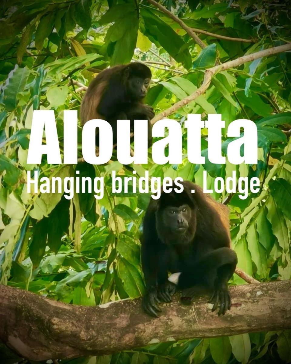 Alouatta Lodge And Canopy Cahuita Bagian luar foto