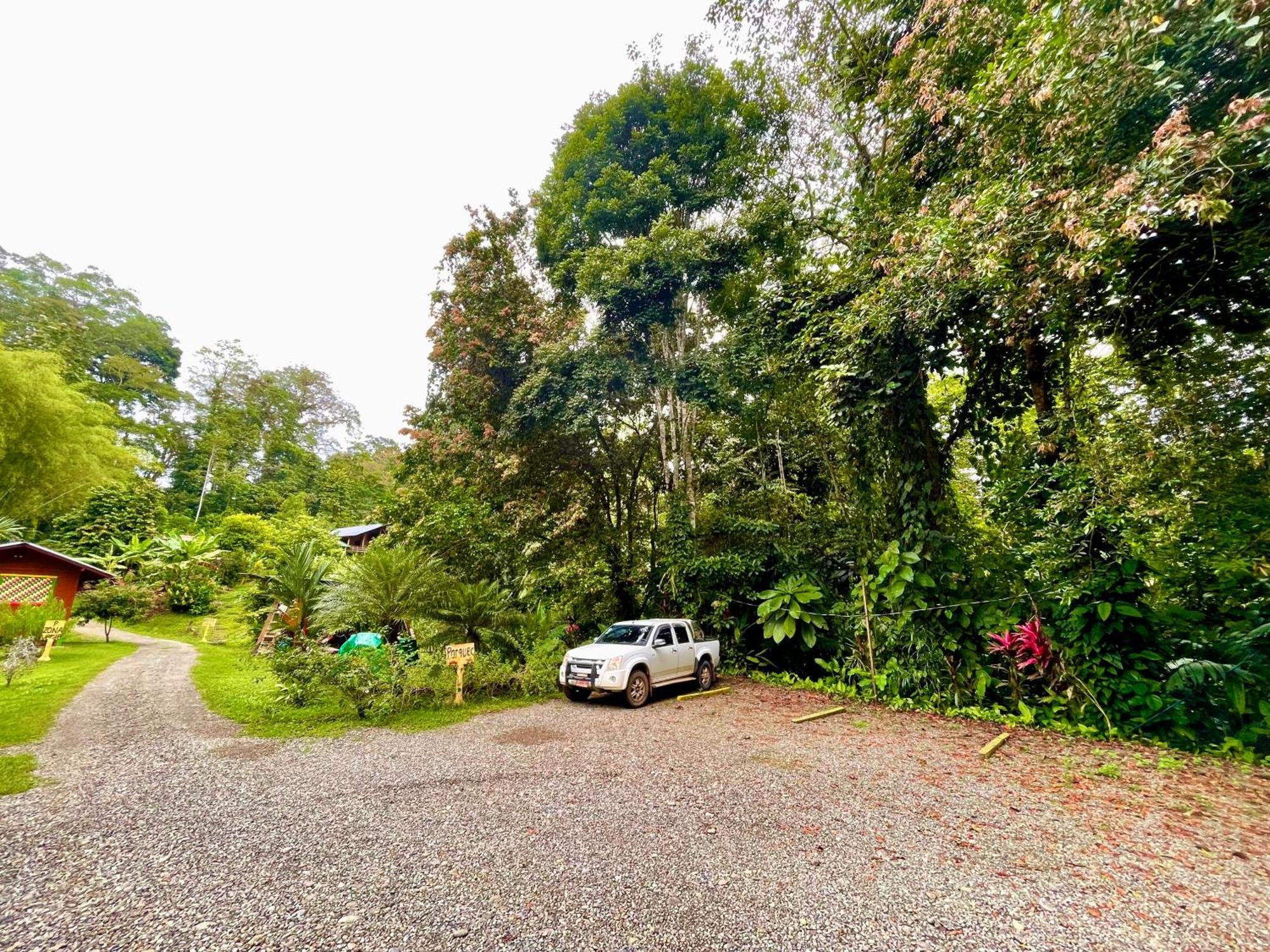 Alouatta Lodge And Canopy Cahuita Bagian luar foto