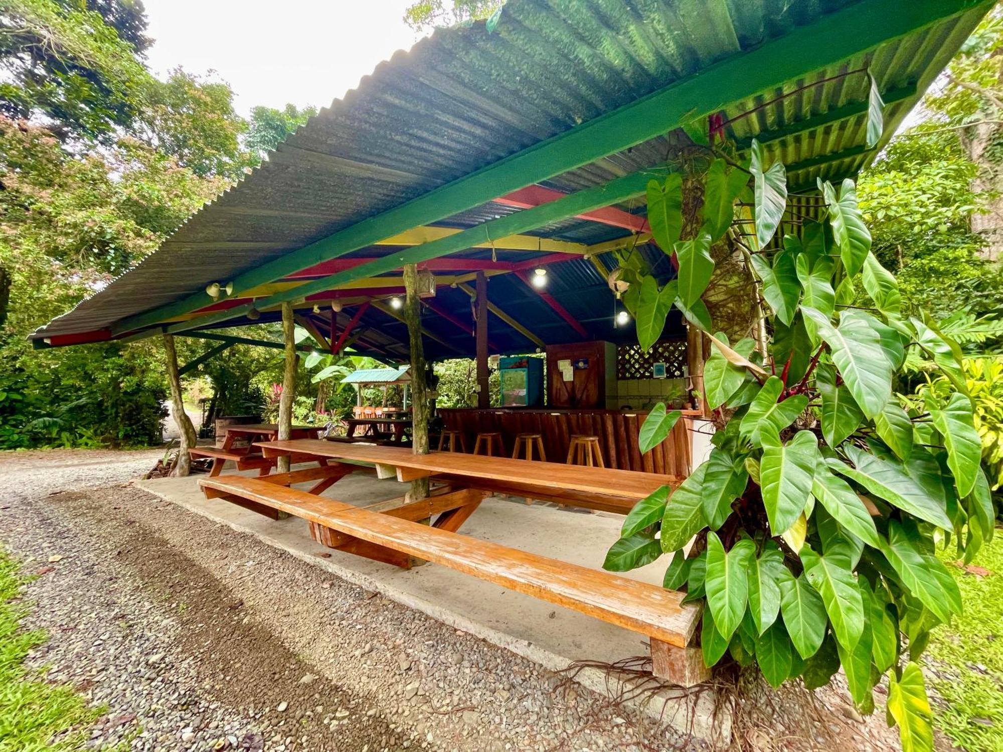 Alouatta Lodge And Canopy Cahuita Bagian luar foto