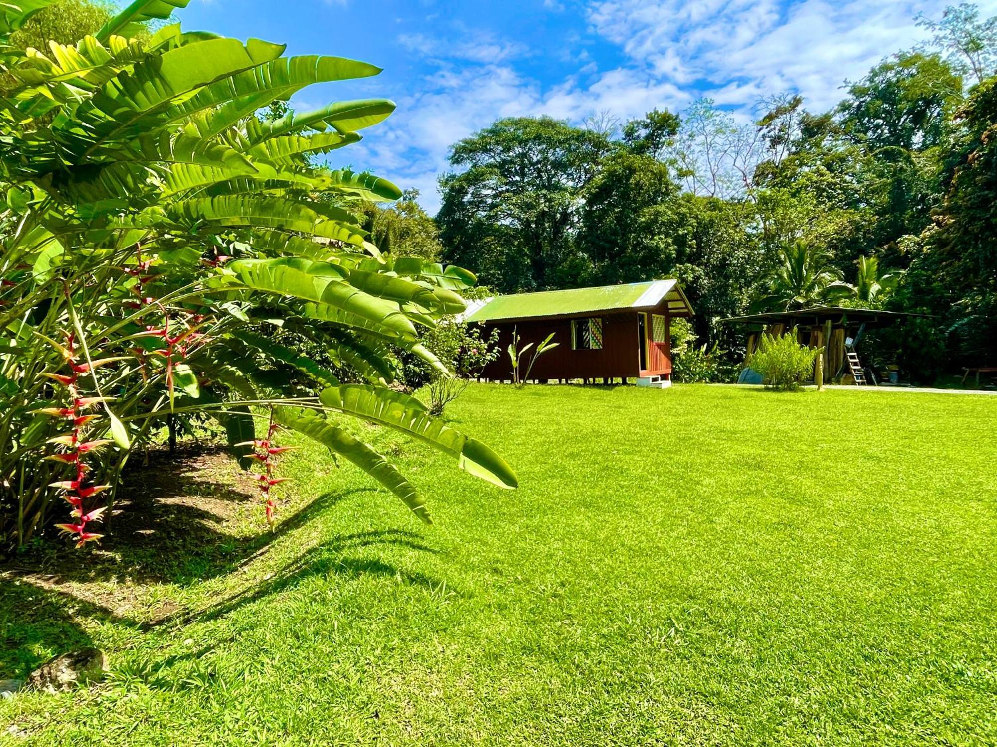 Alouatta Lodge And Canopy Cahuita Bagian luar foto