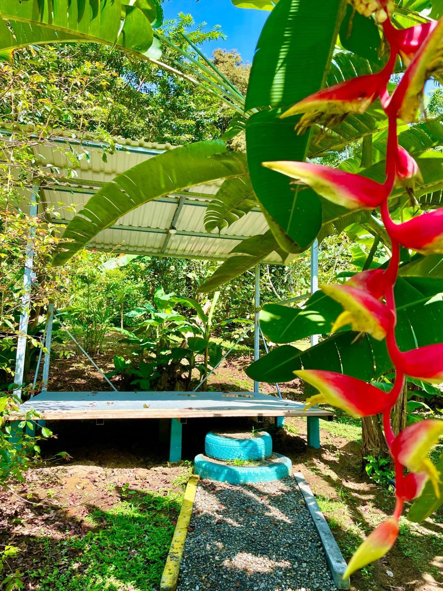 Alouatta Lodge And Canopy Cahuita Bagian luar foto