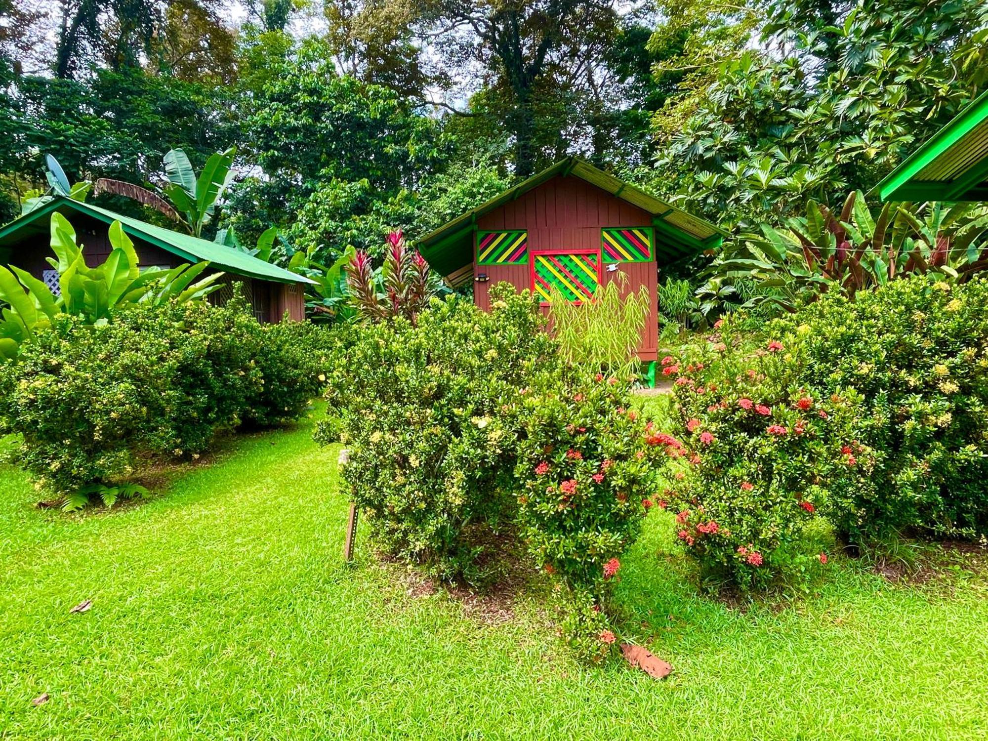 Alouatta Lodge And Canopy Cahuita Bagian luar foto