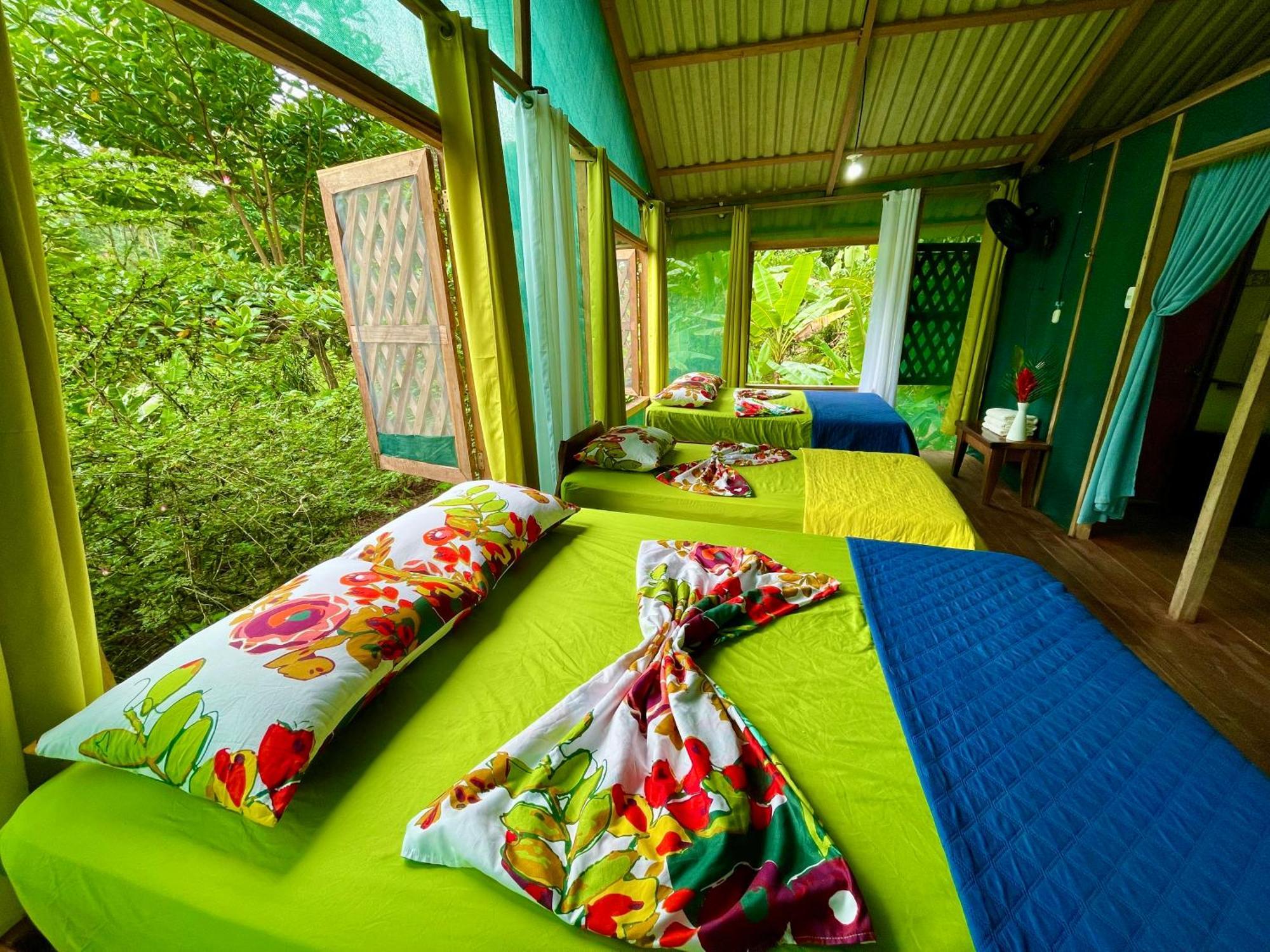 Alouatta Lodge And Canopy Cahuita Bagian luar foto