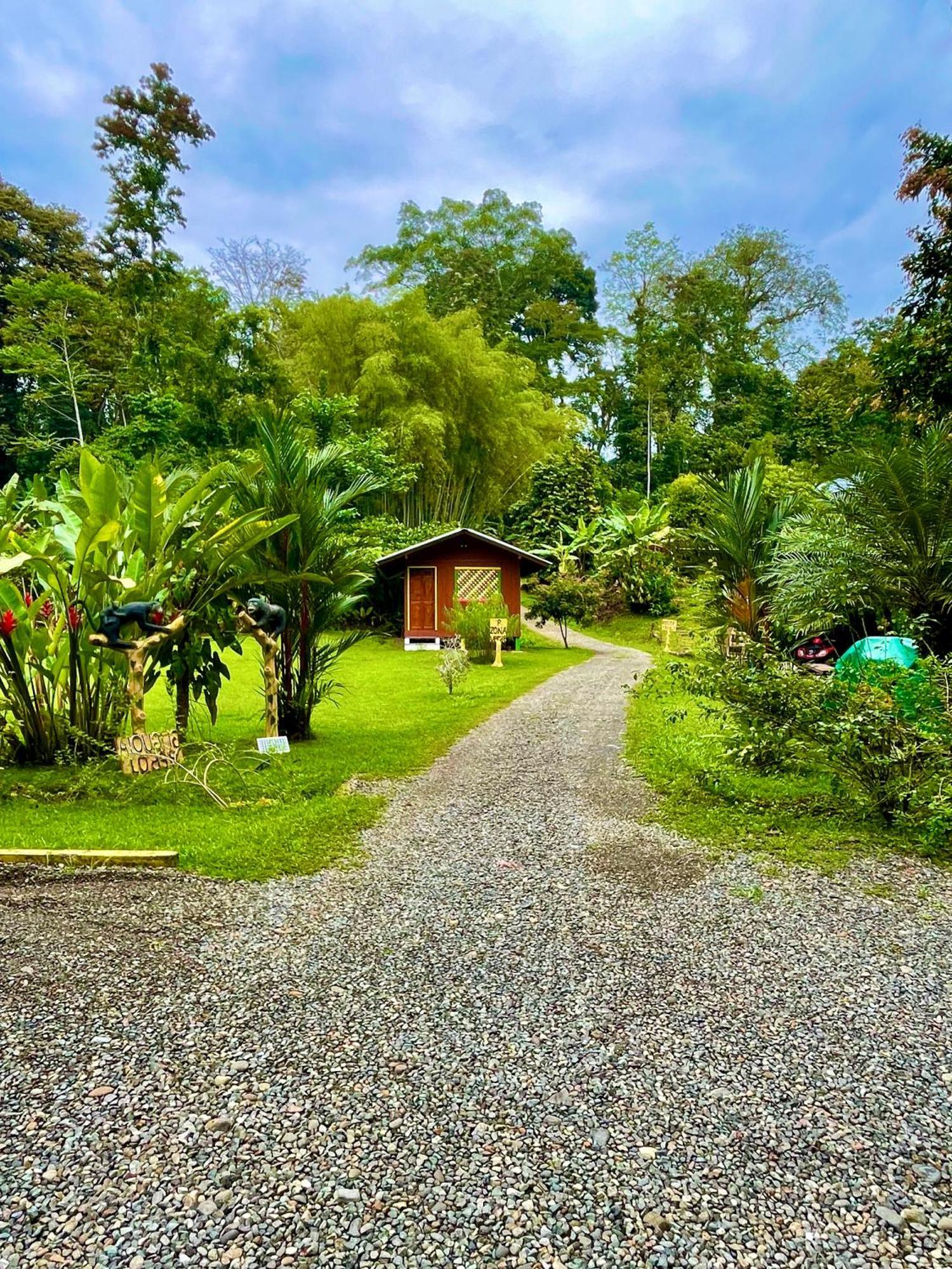 Alouatta Lodge And Canopy Cahuita Bagian luar foto