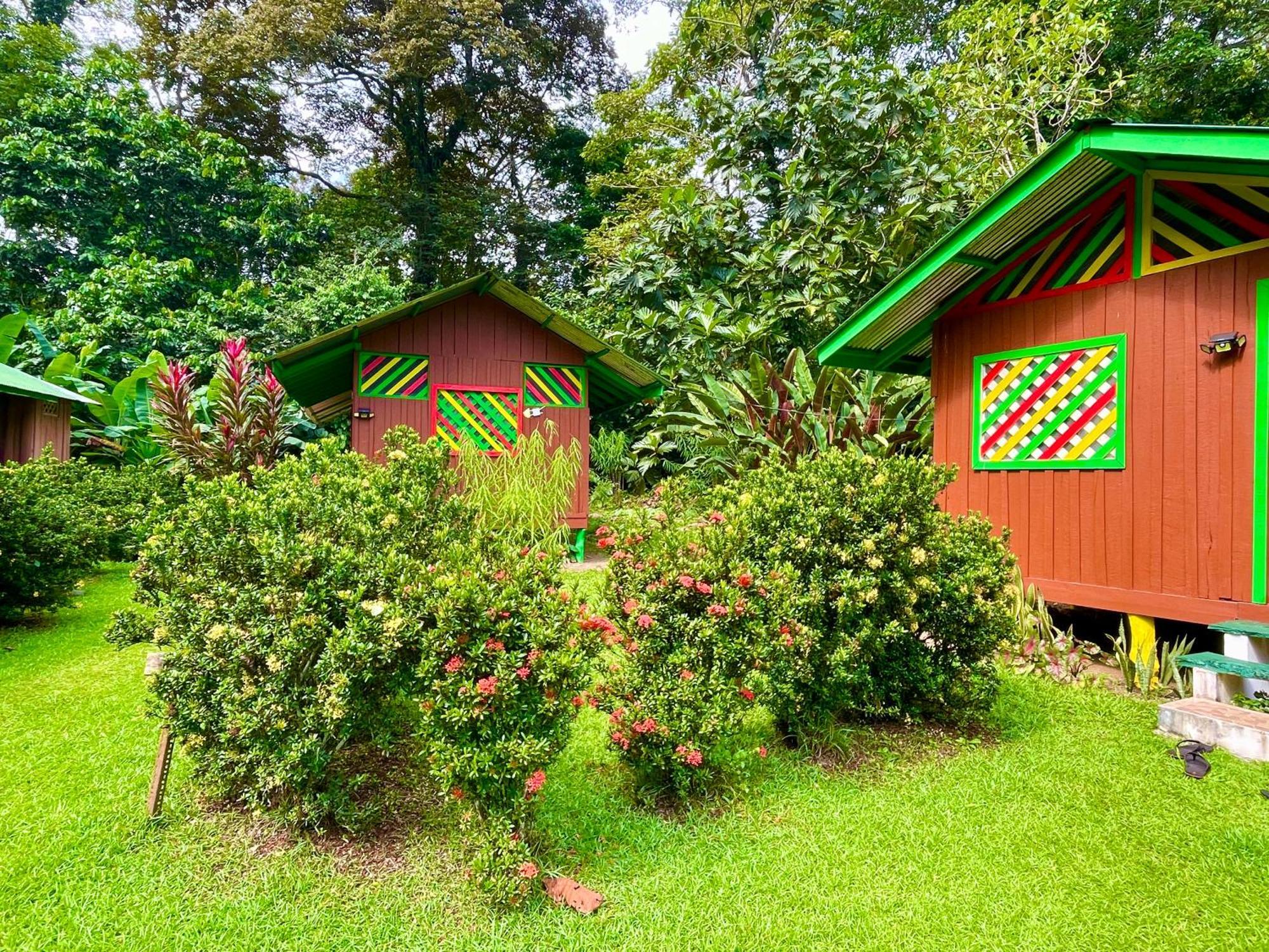 Alouatta Lodge And Canopy Cahuita Bagian luar foto