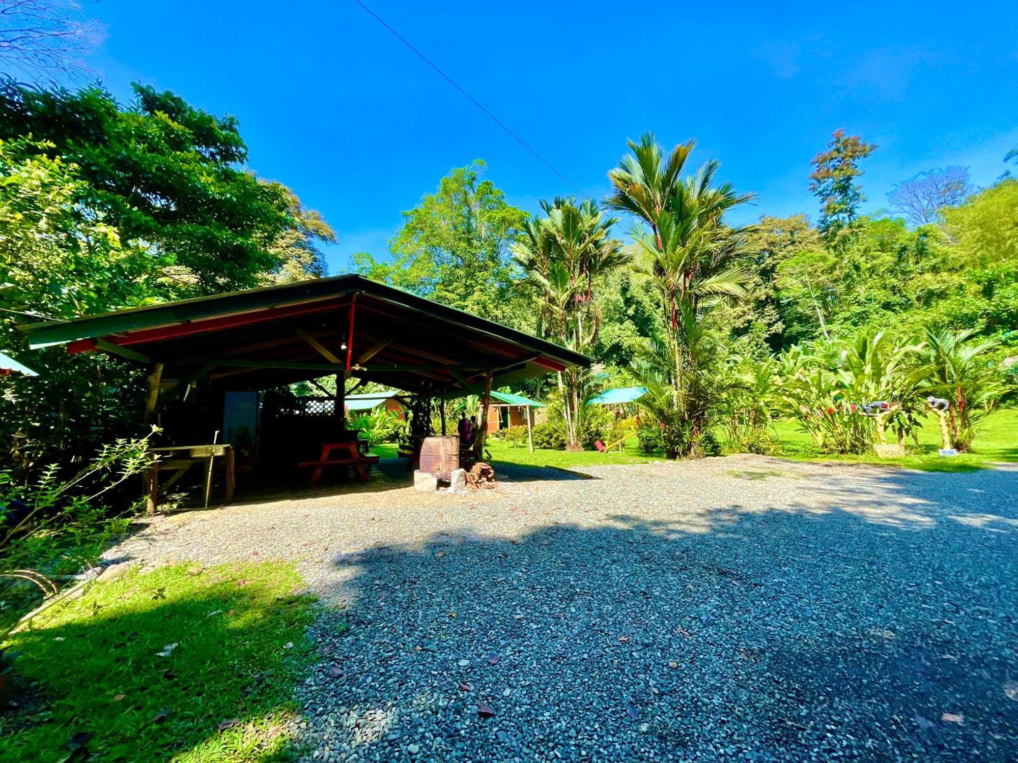 Alouatta Lodge And Canopy Cahuita Bagian luar foto