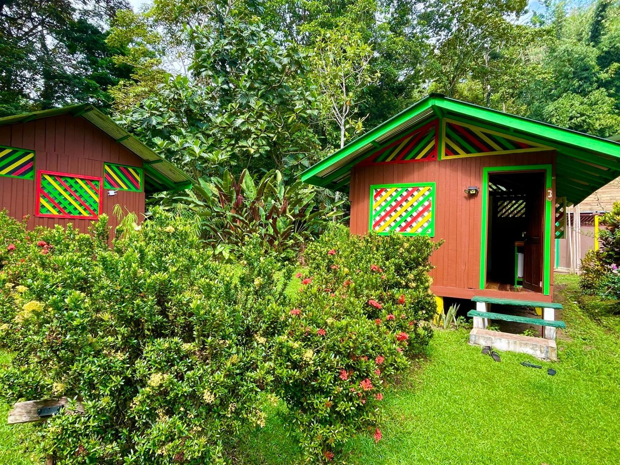 Alouatta Lodge And Canopy Cahuita Bagian luar foto