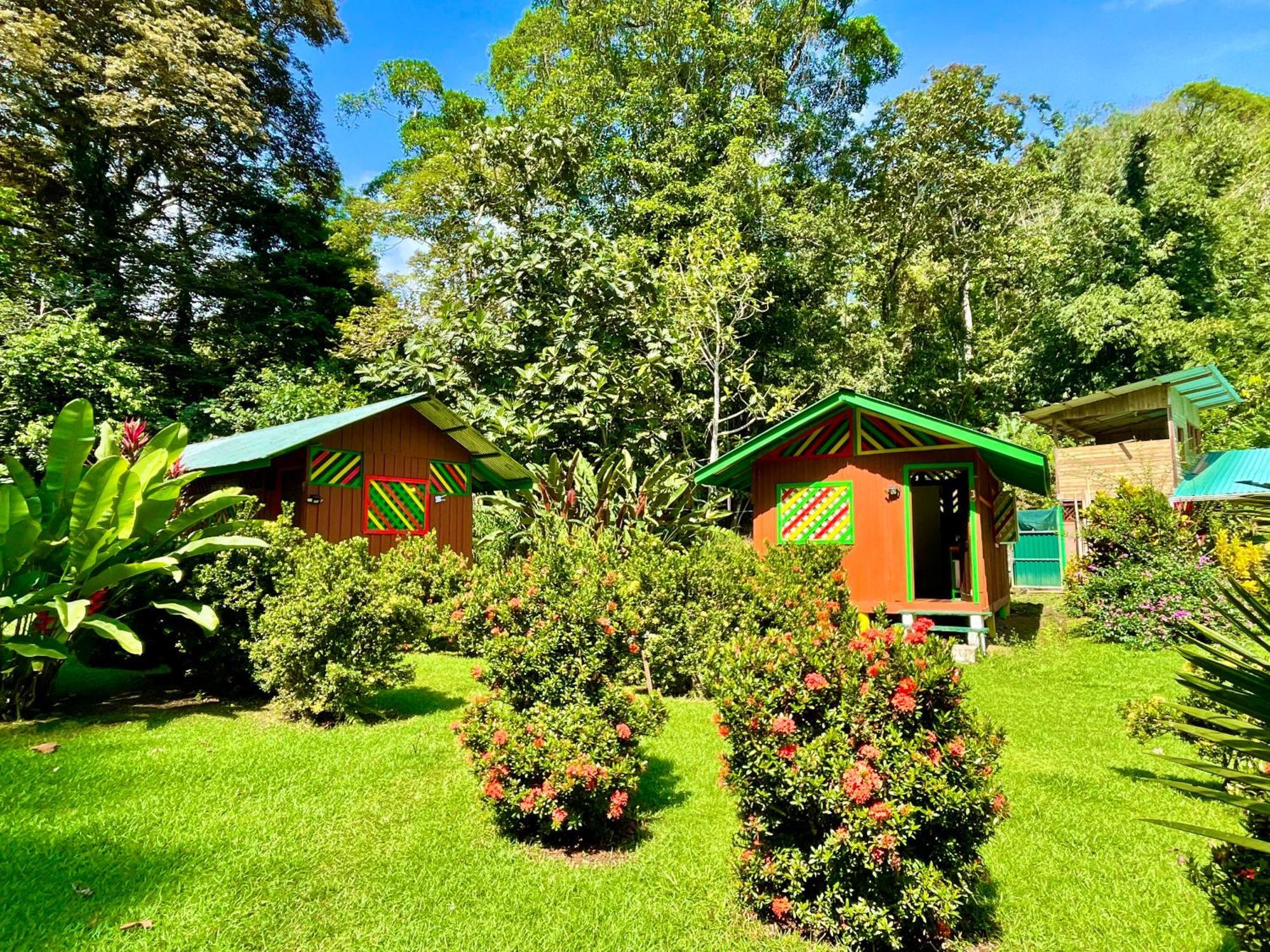 Alouatta Lodge And Canopy Cahuita Bagian luar foto