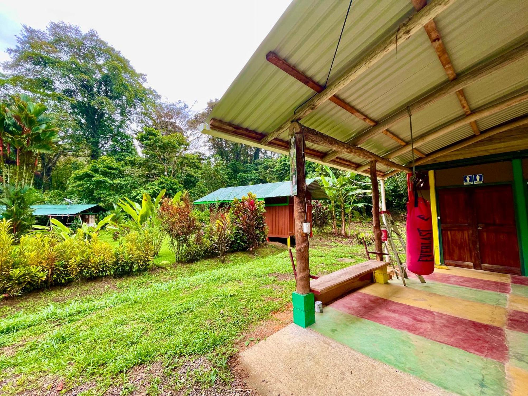 Alouatta Lodge And Canopy Cahuita Bagian luar foto