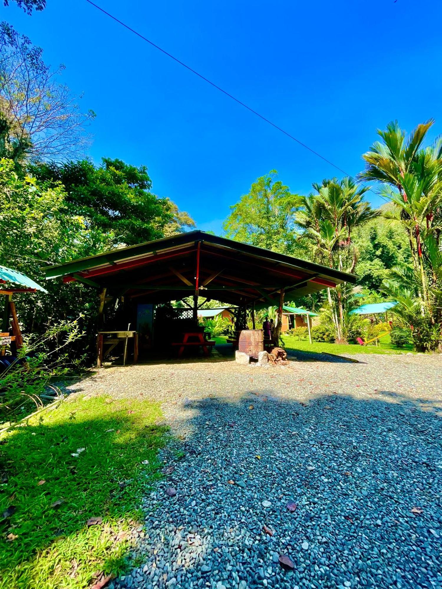 Alouatta Lodge And Canopy Cahuita Bagian luar foto