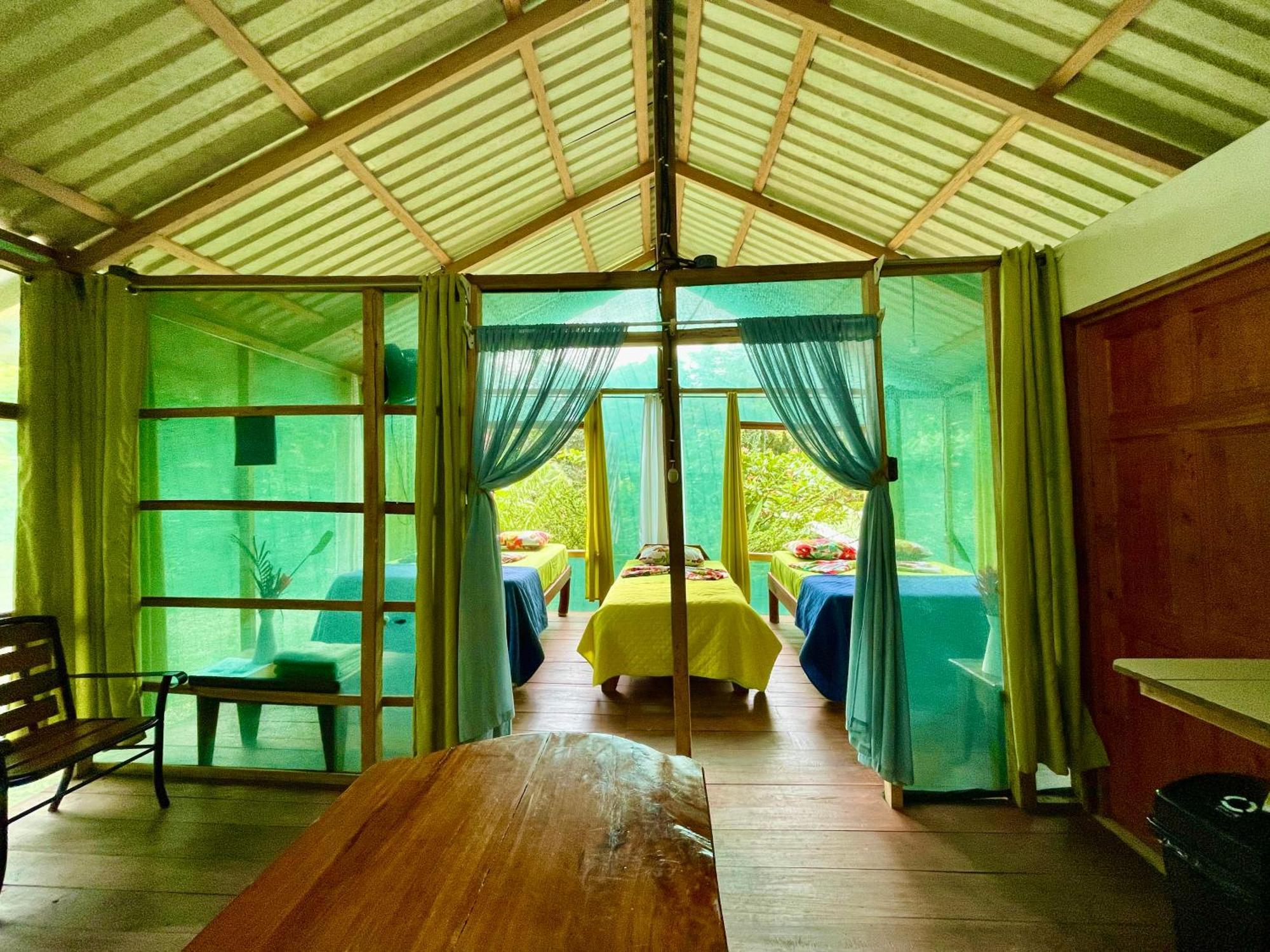 Alouatta Lodge And Canopy Cahuita Bagian luar foto