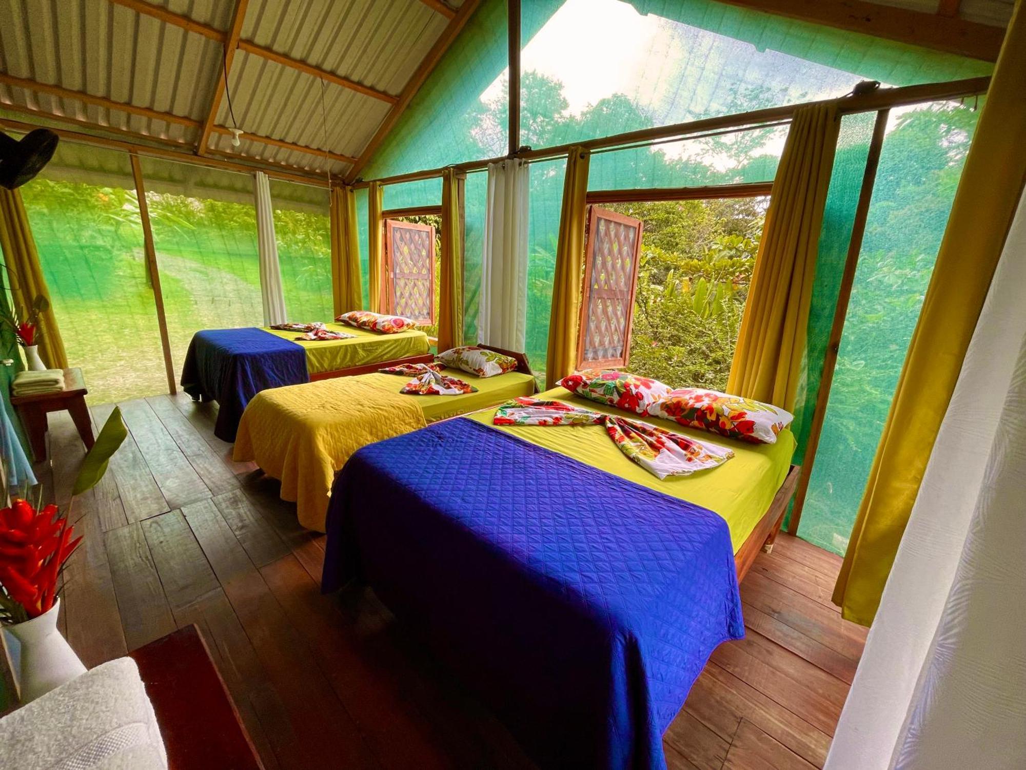 Alouatta Lodge And Canopy Cahuita Bagian luar foto