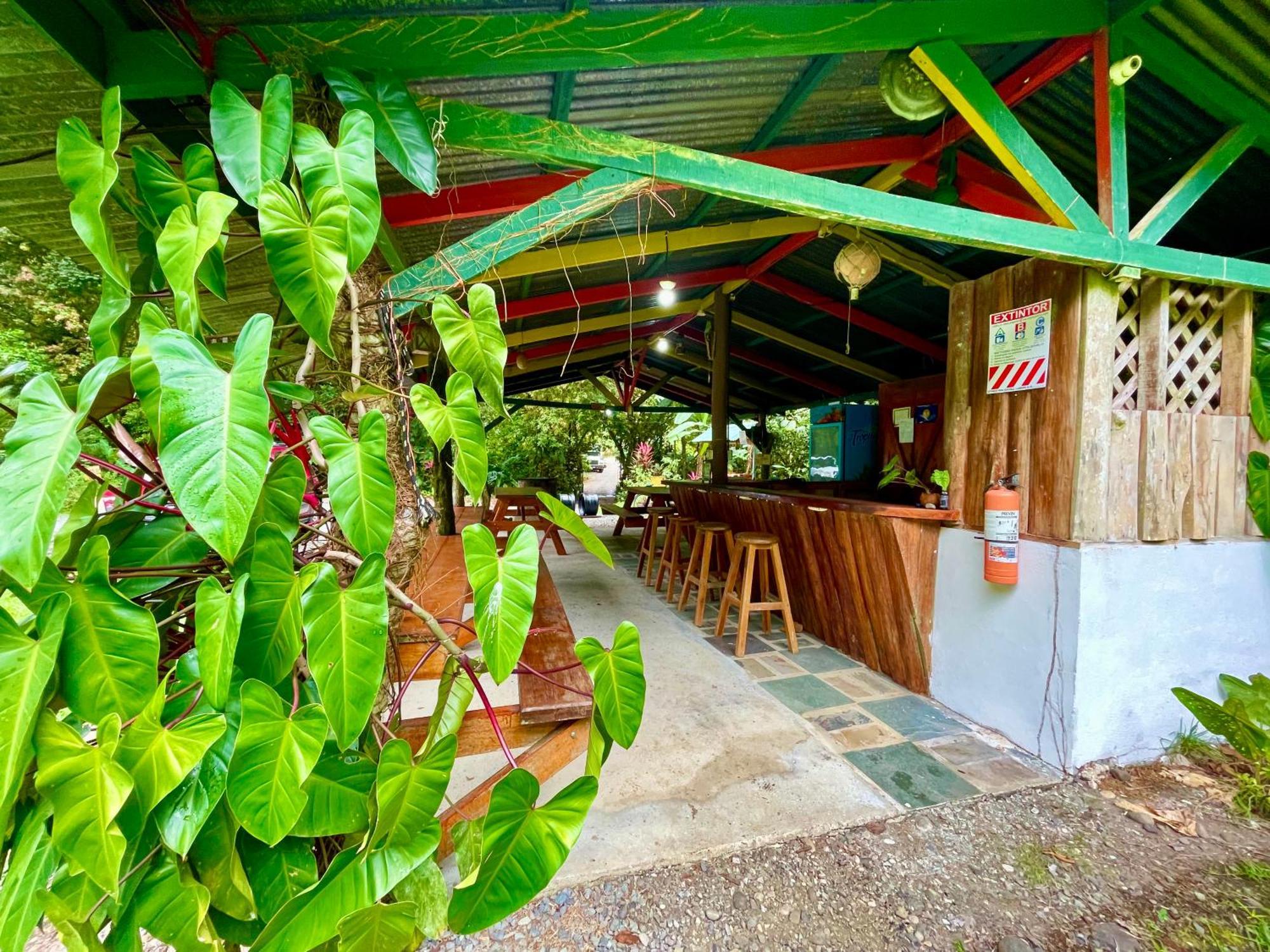 Alouatta Lodge And Canopy Cahuita Bagian luar foto