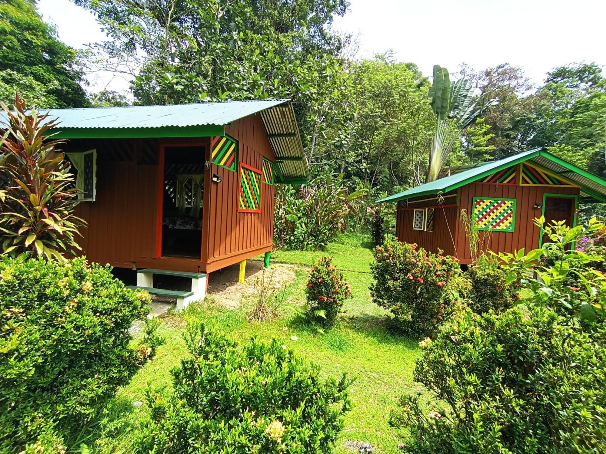 Alouatta Lodge And Canopy Cahuita Bagian luar foto