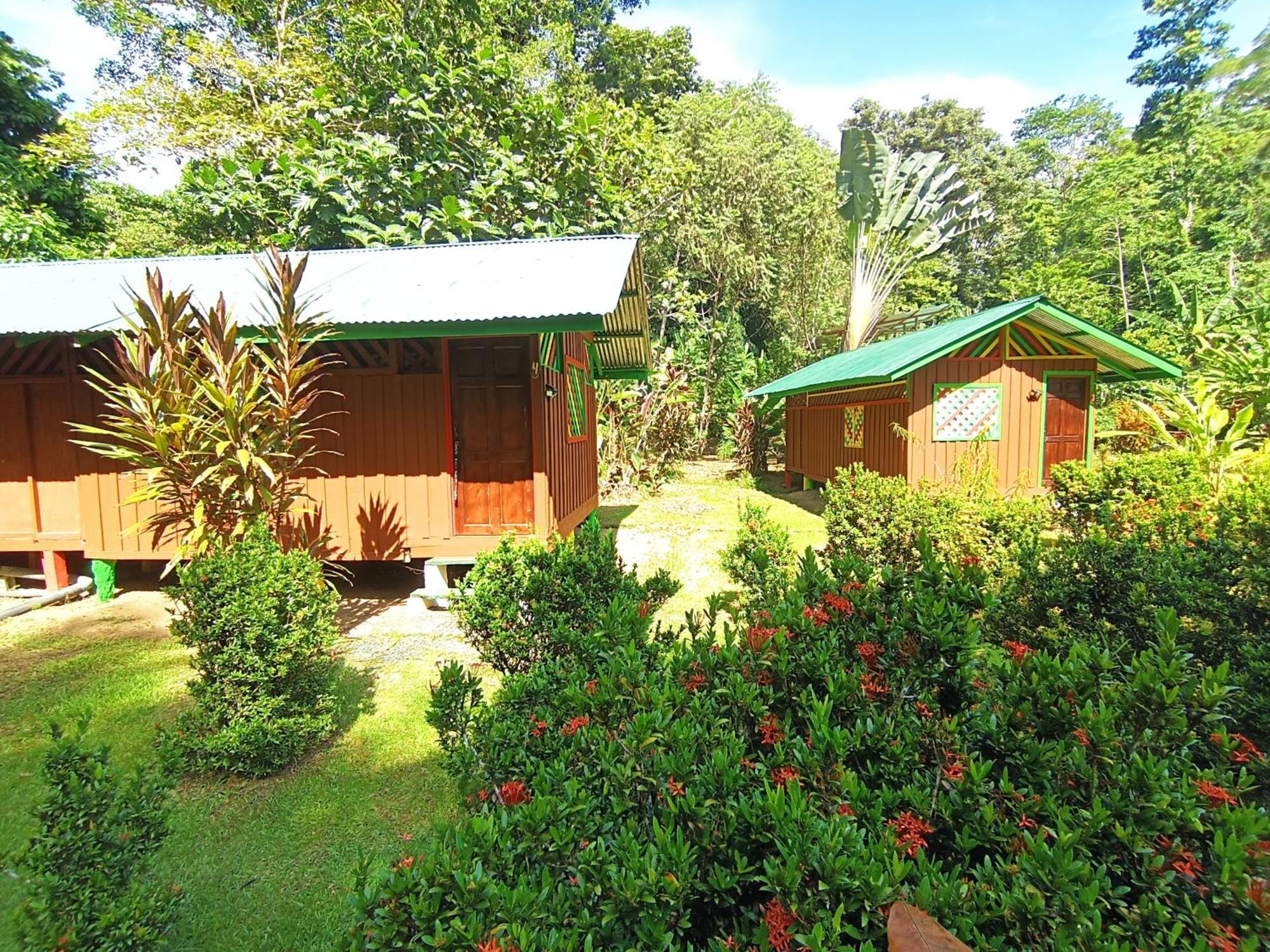 Alouatta Lodge And Canopy Cahuita Bagian luar foto