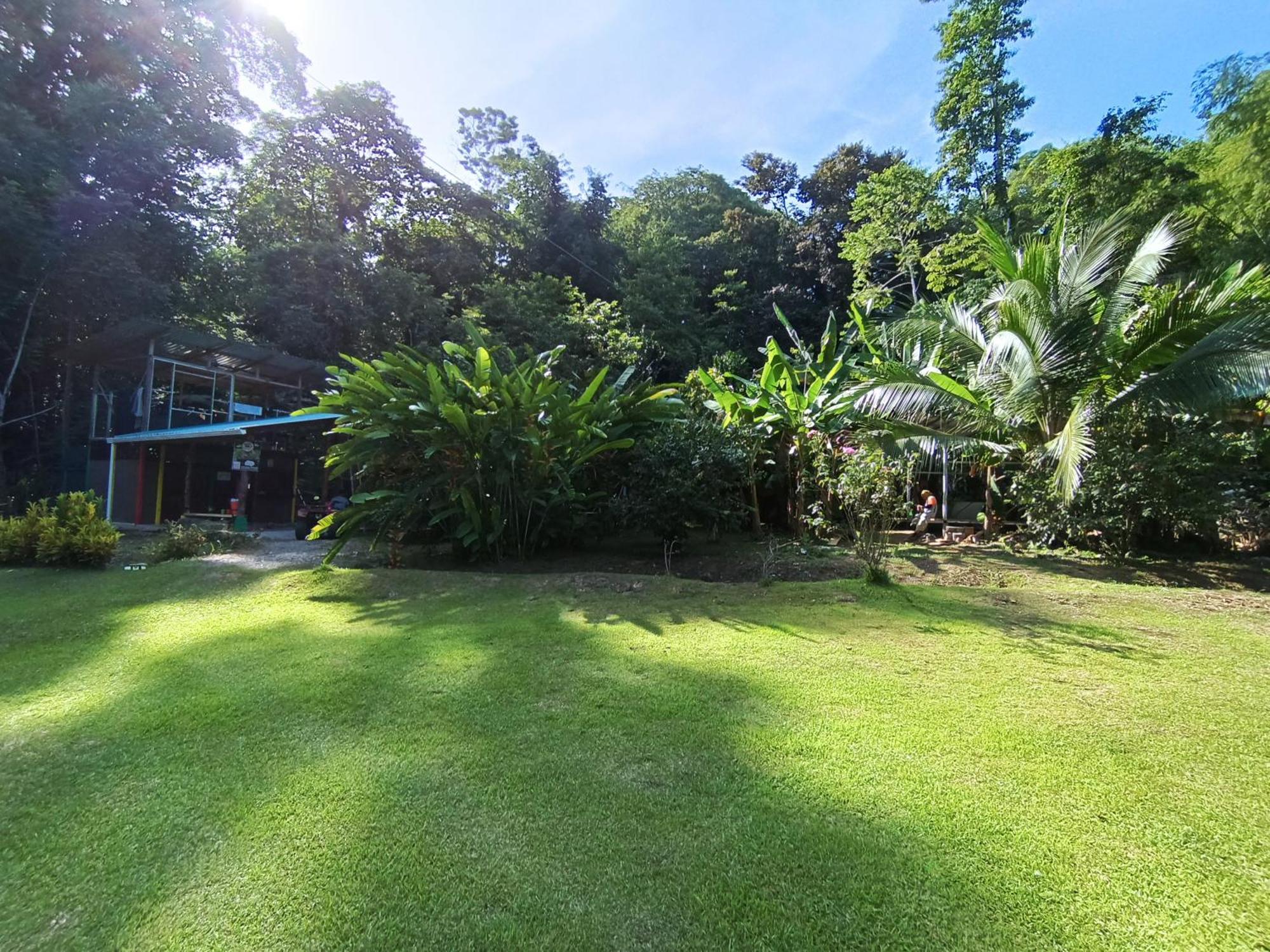 Alouatta Lodge And Canopy Cahuita Bagian luar foto